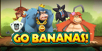 140.000 € in one spin with Go Bananas